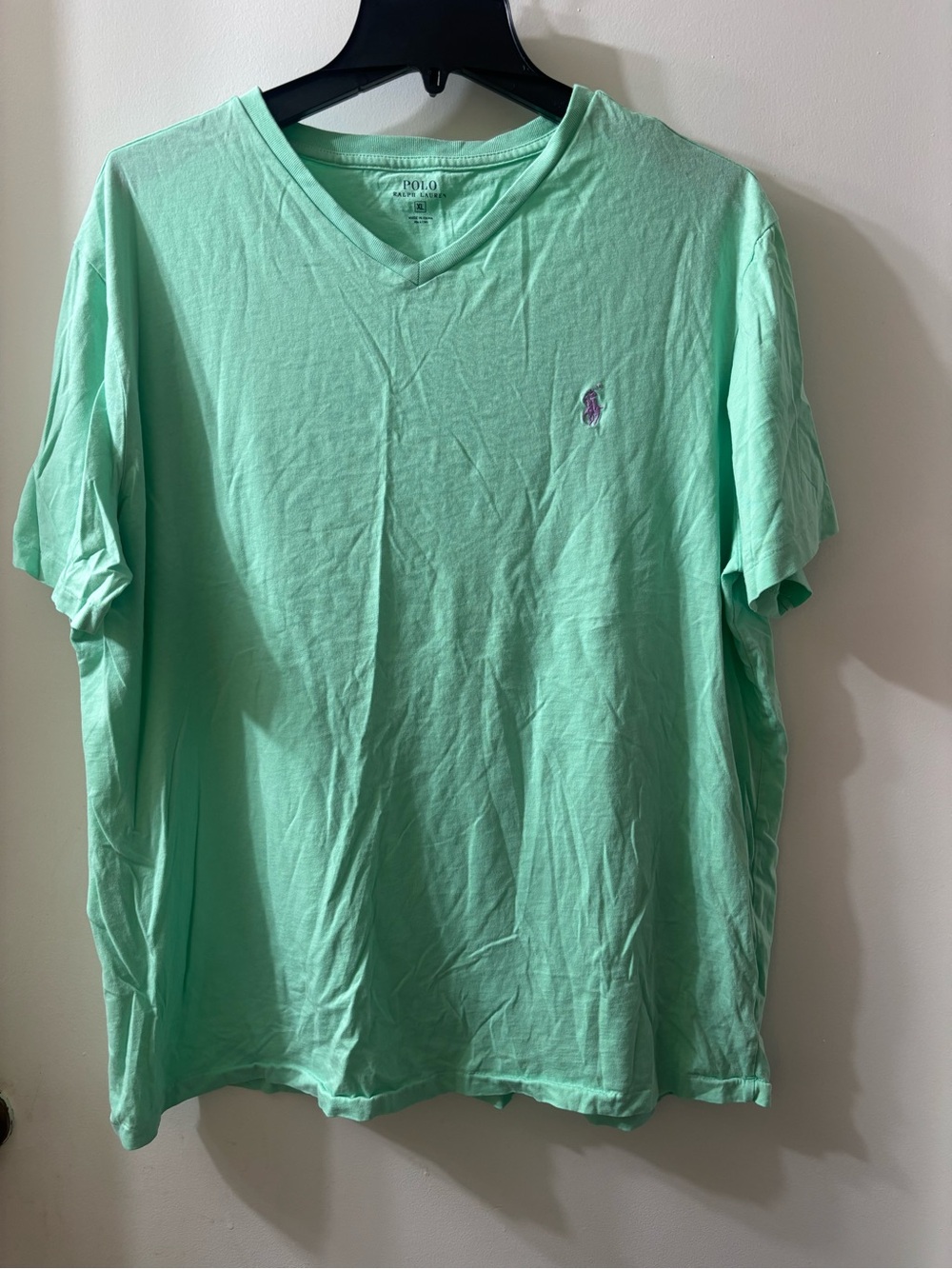 Polo by Ralph Lauren Mint Green V-Neck Tee with Embroidered Pony